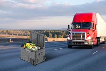 product-351-235 product-351-235