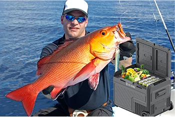 product-350-235 product-350-235